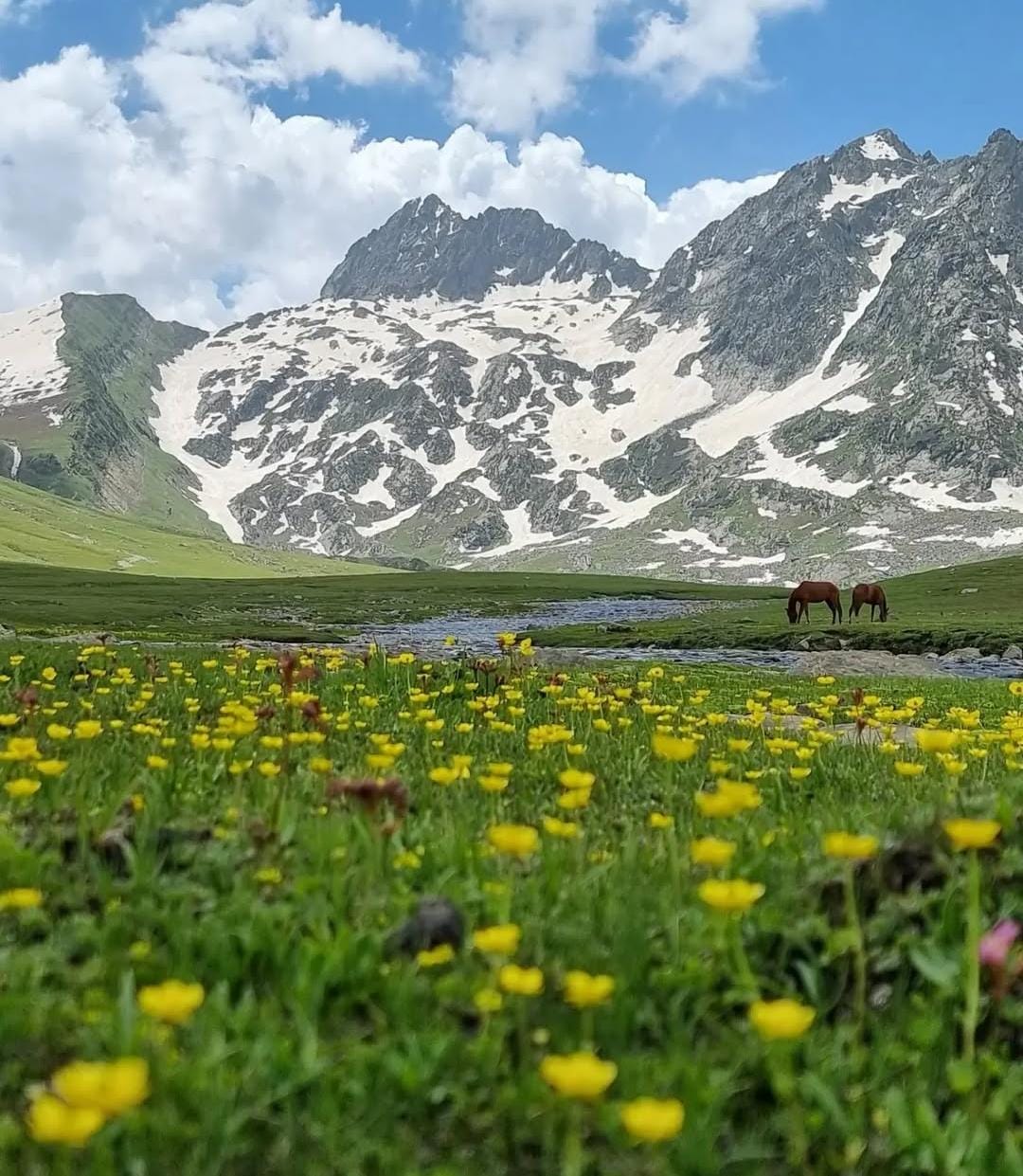 Kashmir Great Lakes Trek
